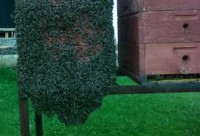 /album/fotogaleria-ule/sdsds-jpg1/